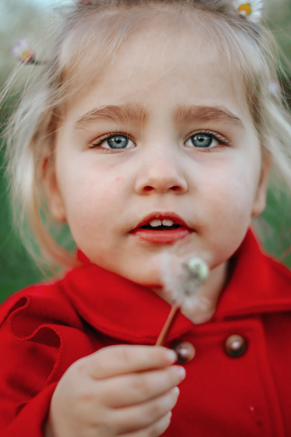 Une petite fille souffle son pissenlit